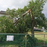 子供と私の二人の今後、幸せな生活をください